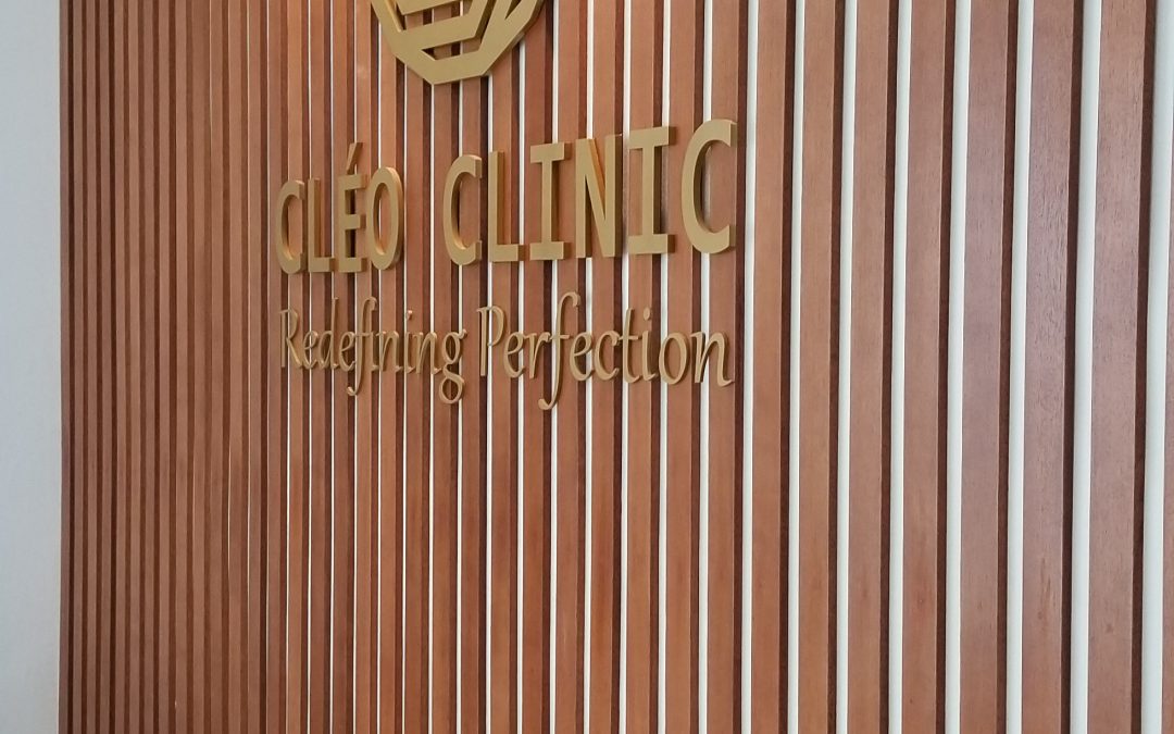 CLEO Clinic